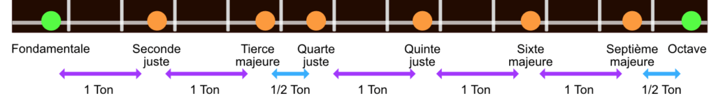 Intervalles entre les notes de la gamme majeure sur le manche de la guitare