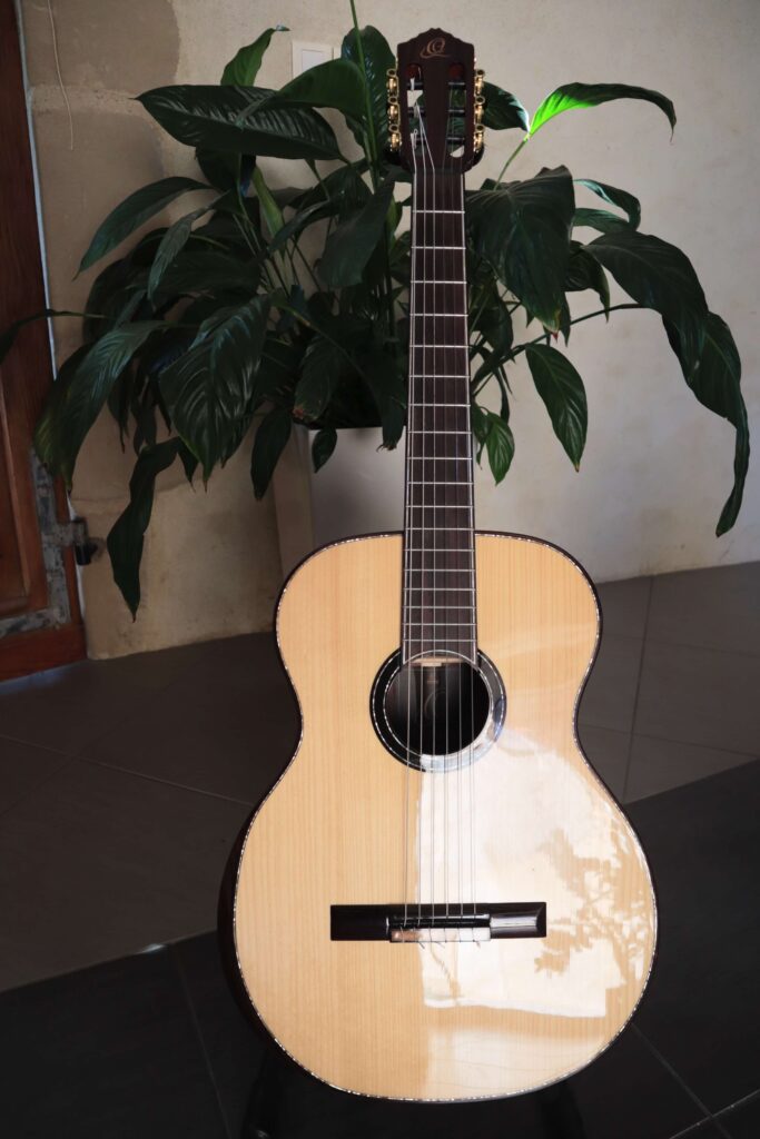 Guitare acoustique, hybride entre la folk et la classique