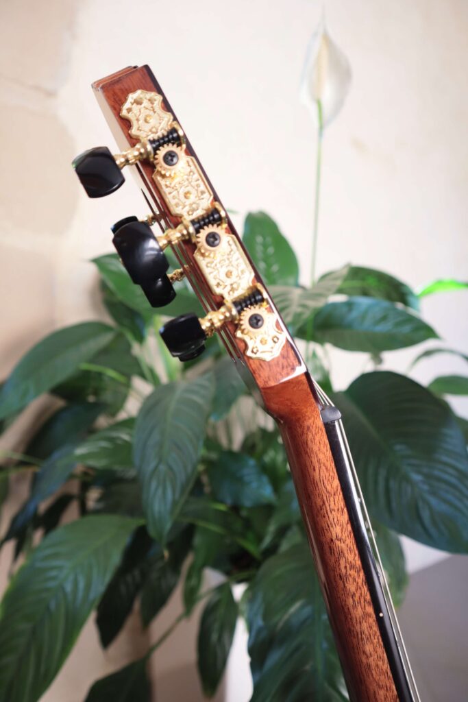 Mécaniques de la guitare hybride
