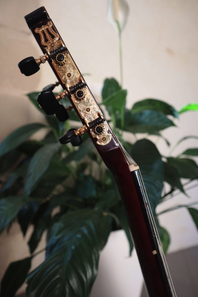 Mécaniques de la guitare classique