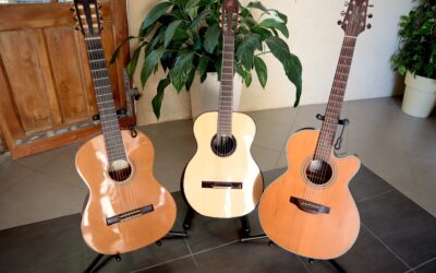 Quelle guitare choisir pour démarrer ?
